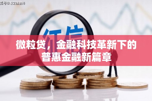 吴忠微粒贷，金融科技革新下的普惠金融新篇章