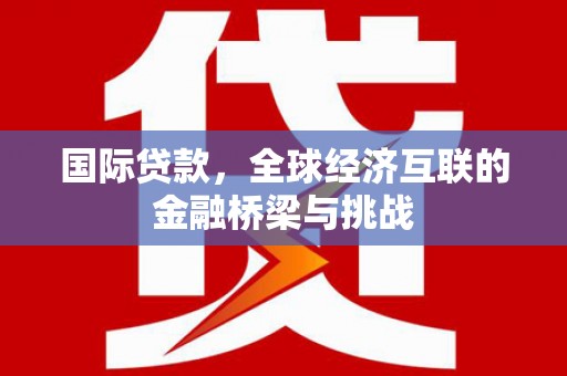吴忠国际贷款，全球经济互联的金融桥梁与挑战