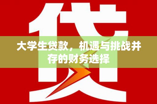 吴忠大学生贷款，机遇与挑战并存的财务选择