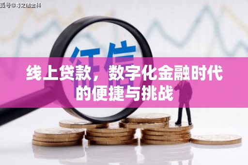 吴忠线上贷款，数字化金融时代的便捷与挑战