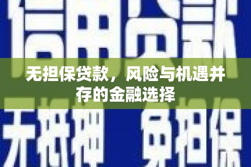 吴忠无担保贷款，风险与机遇并存的金融选择