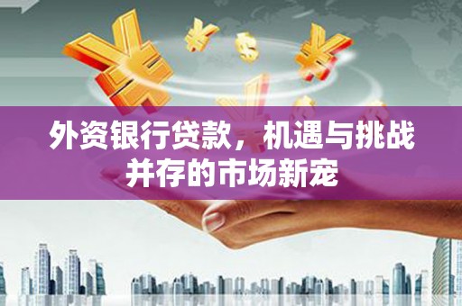 吴忠外资银行贷款，机遇与挑战并存的市场新宠