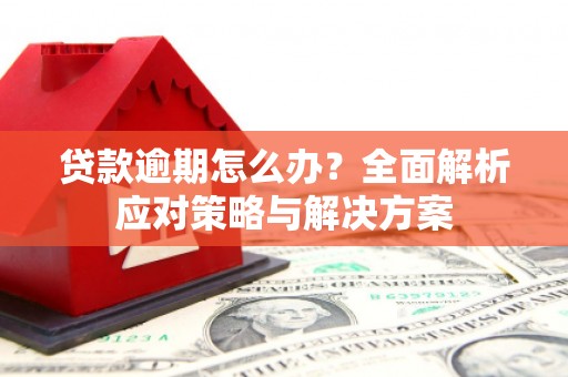 吴忠贷款逾期怎么办？全面解析应对策略与解决方案