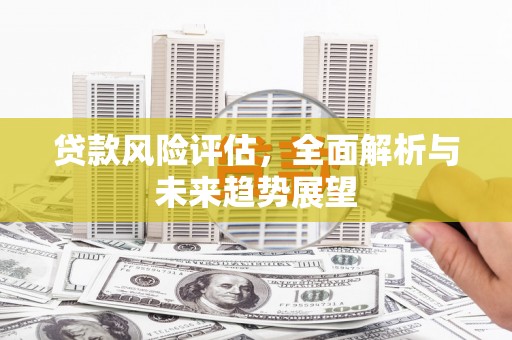 吴忠贷款风险评估，全面解析与未来趋势展望