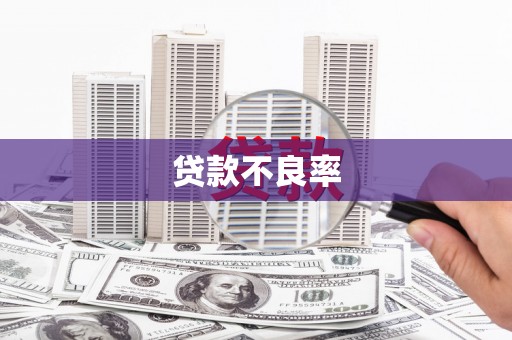 吴忠贷款不良率
