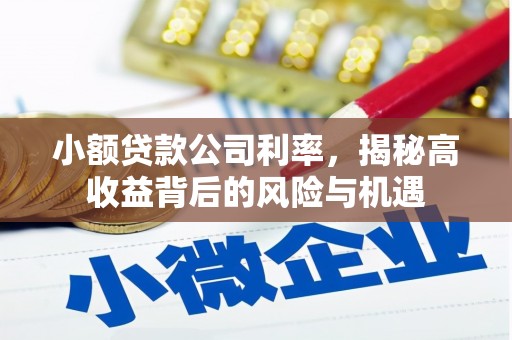 吴忠小额贷款公司利率，揭秘高收益背后的风险与机遇