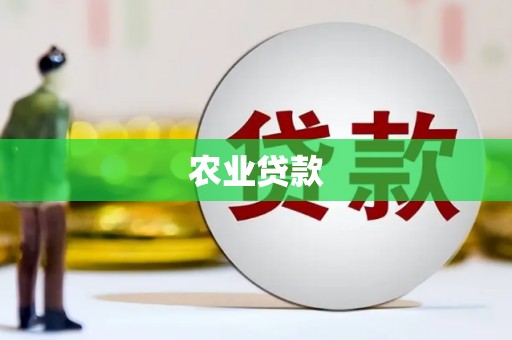 吴忠农业贷款