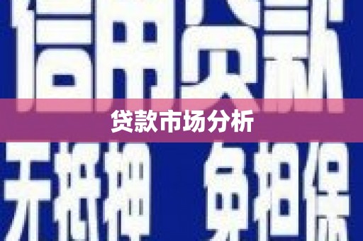 吴忠贷款市场分析