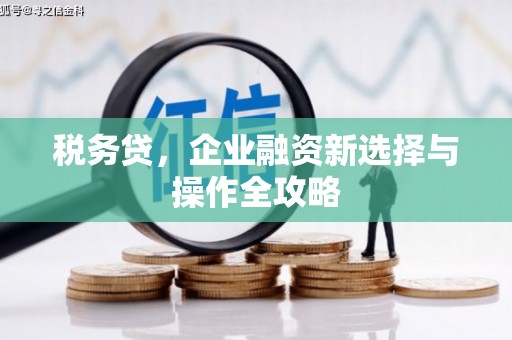 吴忠税务贷，企业融资新选择与操作全攻略