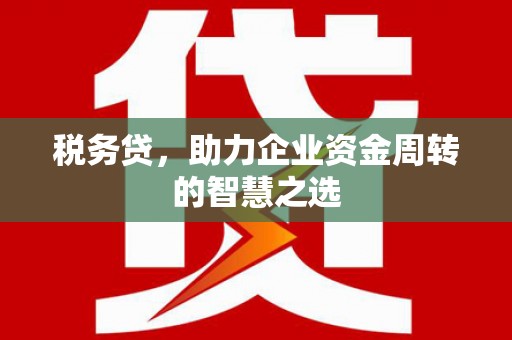 吴忠税务贷，助力企业资金周转的智慧之选