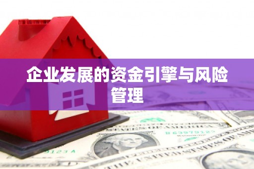 吴忠企业发展的资金引擎与风险管理