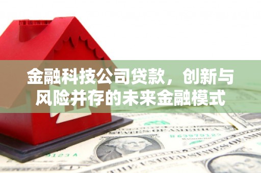吴忠金融科技公司贷款，创新与风险并存的未来金融模式