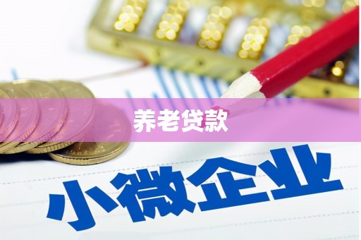 吴忠养老贷款