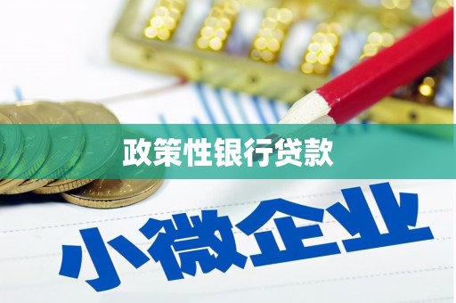 吴忠政策性银行贷款