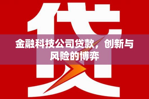 吴忠金融科技公司贷款，创新与风险的博弈