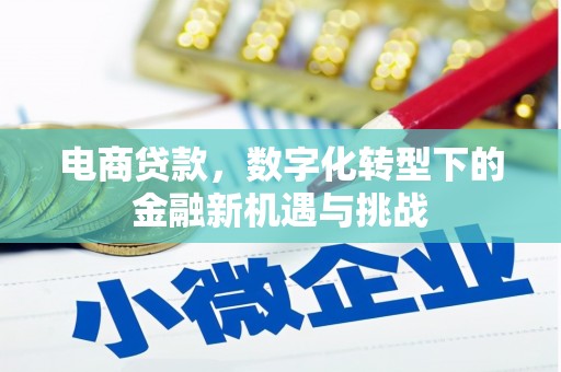 吴忠电商贷款，数字化转型下的金融新机遇与挑战