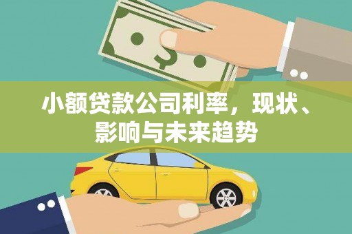 吴忠小额贷款公司利率，现状、影响与未来趋势