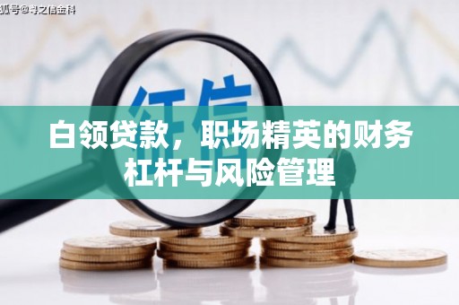 吴忠白领贷款，职场精英的财务杠杆与风险管理