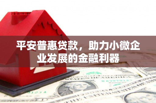 吴忠平安普惠贷款，助力小微企业发展的金融利器