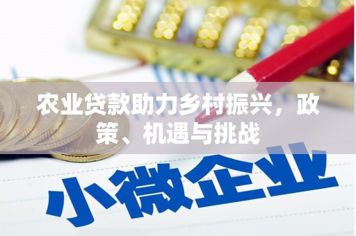 吴忠农业贷款助力乡村振兴，政策、机遇与挑战