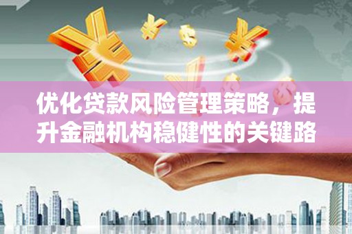 吴忠优化贷款风险管理策略，提升金融机构稳健性的关键路径