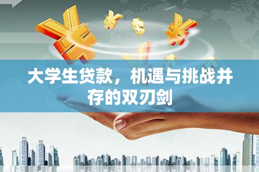 吴忠大学生贷款，机遇与挑战并存的双刃剑