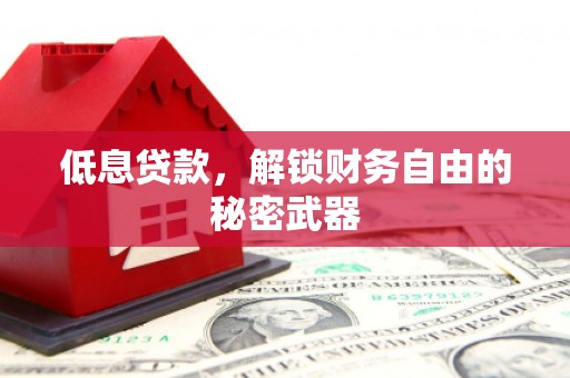 吴忠低息贷款，解锁财务自由的秘密武器