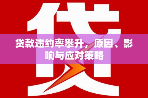 吴忠贷款违约率攀升，原因、影响与应对策略