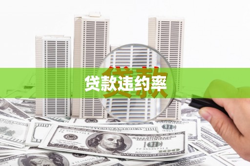 吴忠贷款违约率