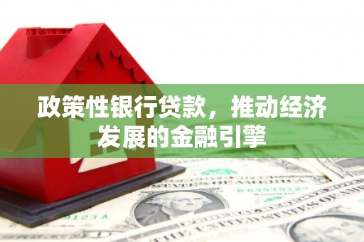 吴忠政策性银行贷款，推动经济发展的金融引擎