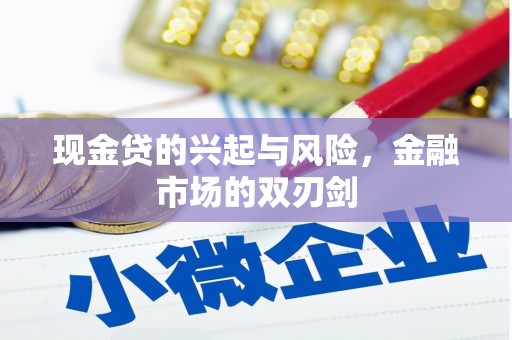 吴忠现金贷的兴起与风险，金融市场的双刃剑