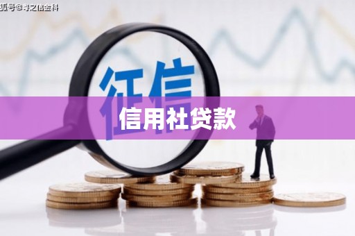 吴忠信用社贷款