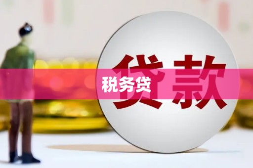 吴忠税务贷