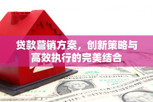 吴忠贷款营销方案，创新策略与高效执行的完美结合