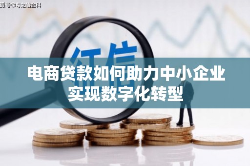 吴忠电商贷款如何助力中小企业实现数字化转型