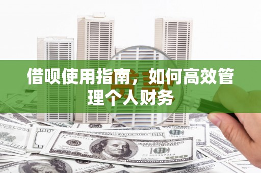 吴忠借呗使用指南，如何高效管理个人财务
