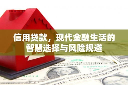 吴忠信用贷款，现代金融生活的智慧选择与风险规避