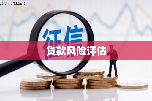 吴忠贷款风险评估