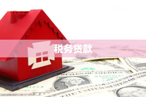 吴忠税务贷款
