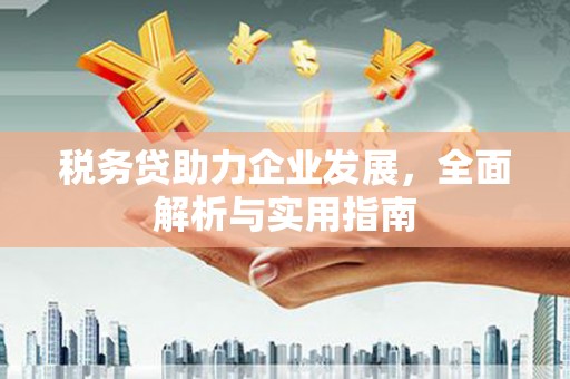 吴忠税务贷助力企业发展，全面解析与实用指南