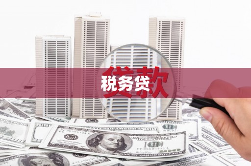 吴忠税务贷