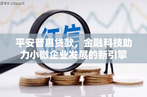 吴忠平安普惠贷款，金融科技助力小微企业发展的新引擎