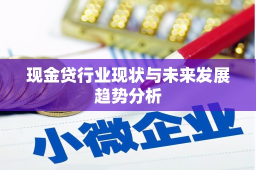 吴忠现金贷行业现状与未来发展趋势分析