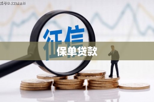 吴忠保单贷款