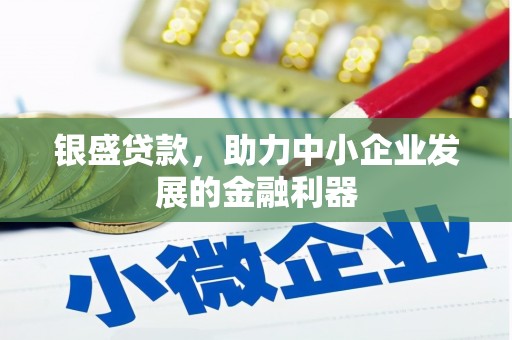 吴忠银盛贷款，助力中小企业发展的金融利器