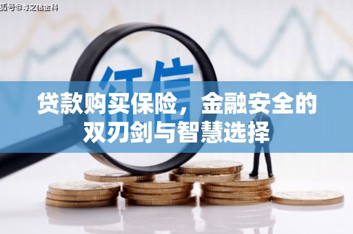 吴忠贷款购买保险，金融安全的双刃剑与智慧选择