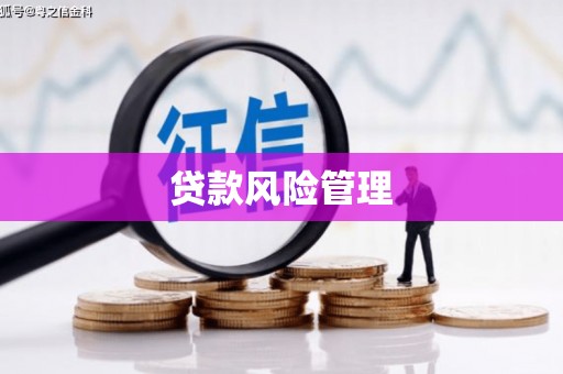 吴忠贷款风险管理