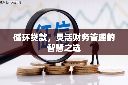 吴忠循环贷款，灵活财务管理的智慧之选