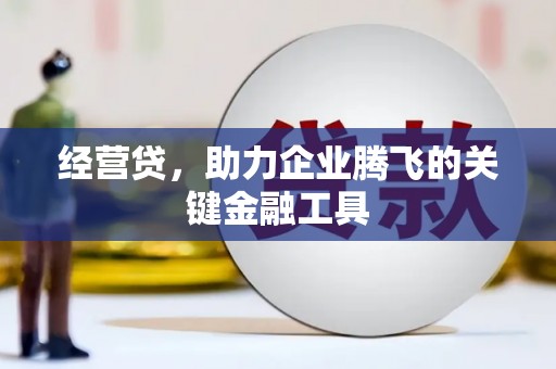 吴忠经营贷，助力企业腾飞的关键金融工具