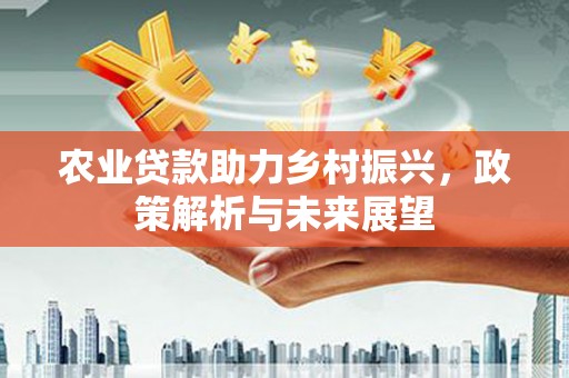 吴忠农业贷款助力乡村振兴，政策解析与未来展望